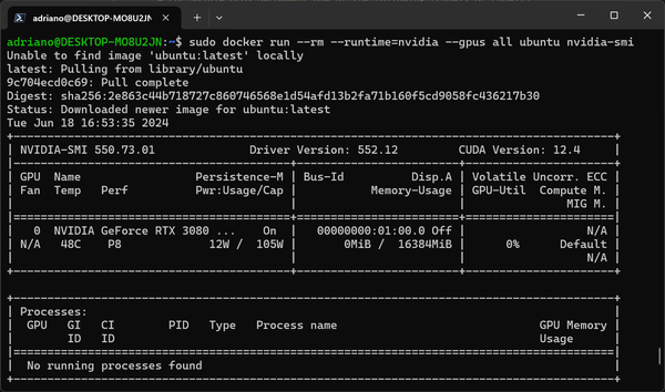 Guida Completa: Installazione di Docker con Supporto NVIDIA su Ubuntu in WSL2