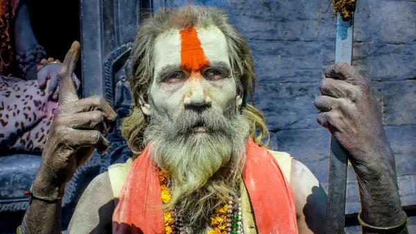 Catch-22 ed i 3 Paradossi Digitali